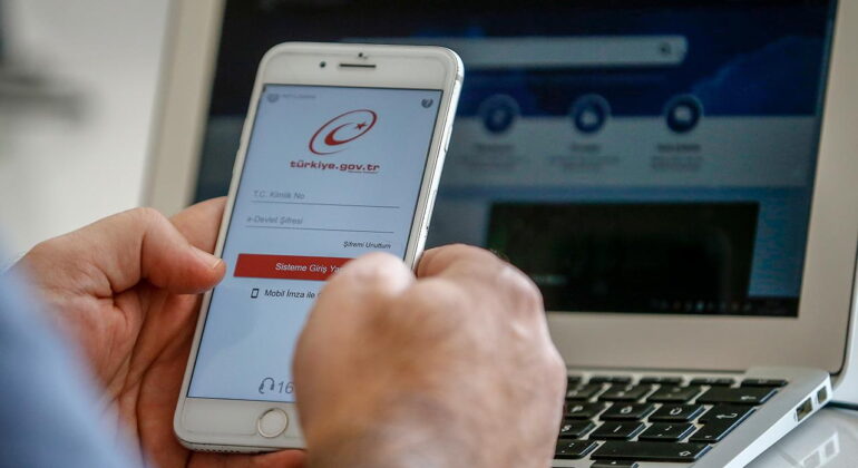 detsis (1)